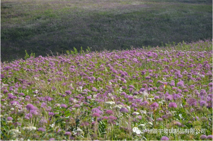 1660811066916442.png 02.png