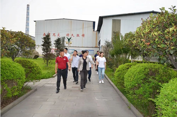 泸州观宇玻璃公司.png 泸州观宇玻璃公司.png